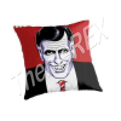 Pillow with photo - Image 4