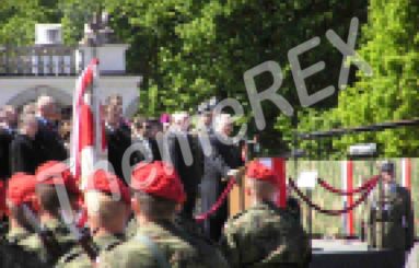Aliquam ultrices ante a facilisis consequat